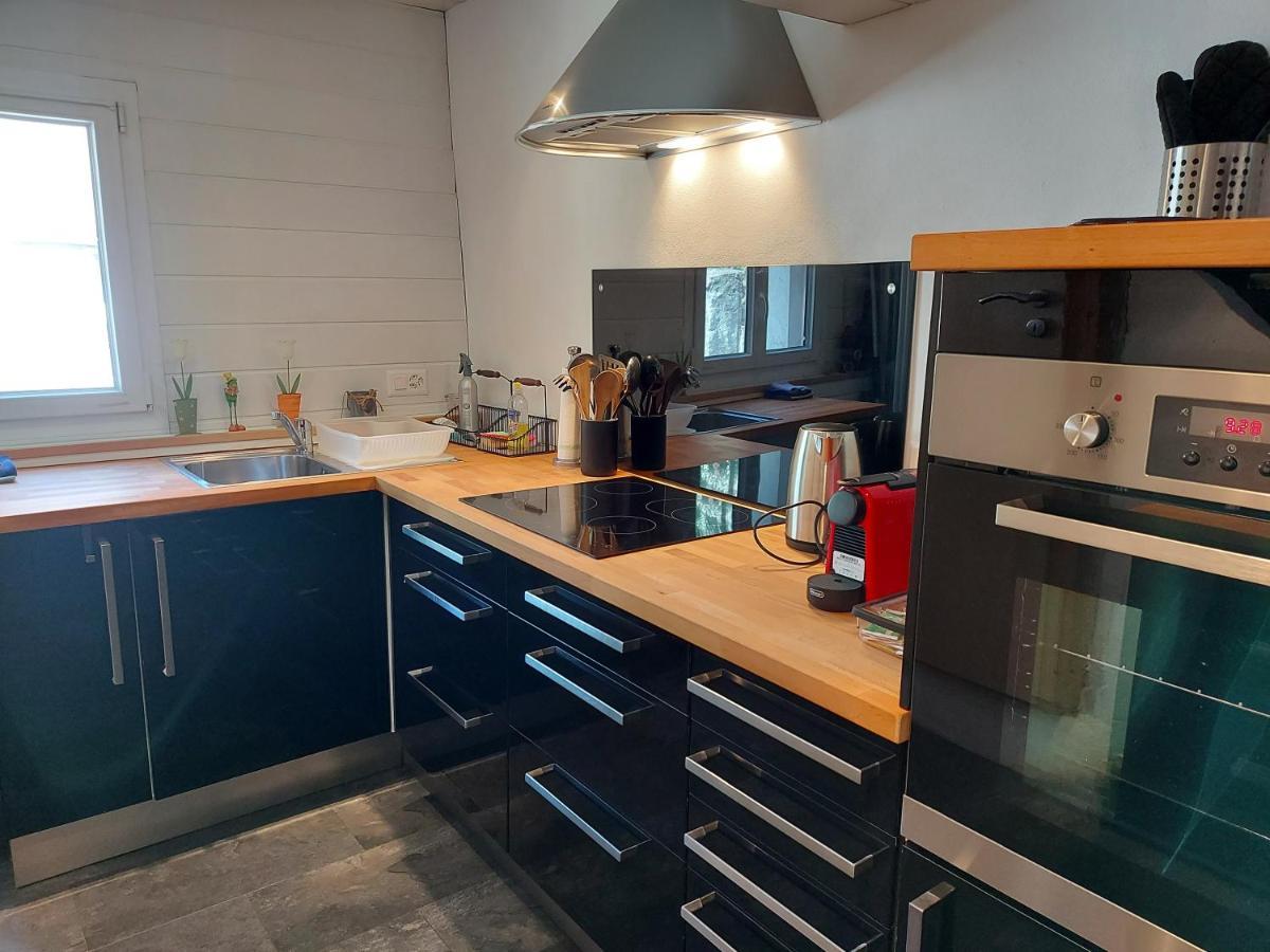 Appartement Voute En Gruyere Dans L'Intyamon Enney Exterior photo